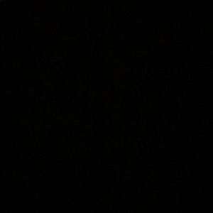 Meet your Posher, Regan